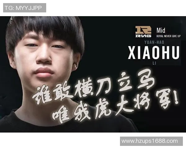 全明星赛分析：WE战队展现卓越团队协作与默契配合